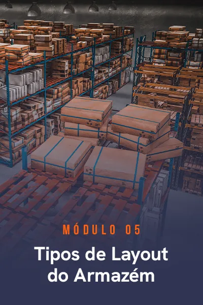 modulos-consultor-em-wms-05.webp