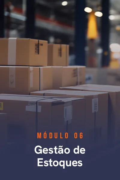 modulos-consultor-em-wms-06.webp