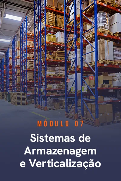 modulos-consultor-em-wms-07.webp