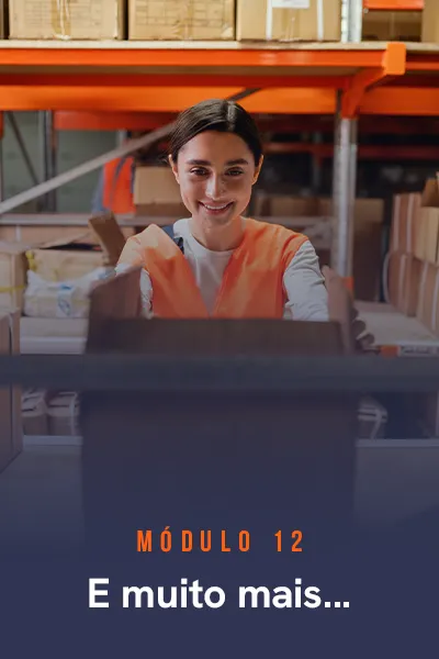 modulos-consultor-em-wms-12.webp